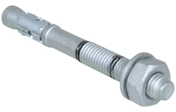 WTB1 Expanderbult Walraven 10x95/15mm FZB